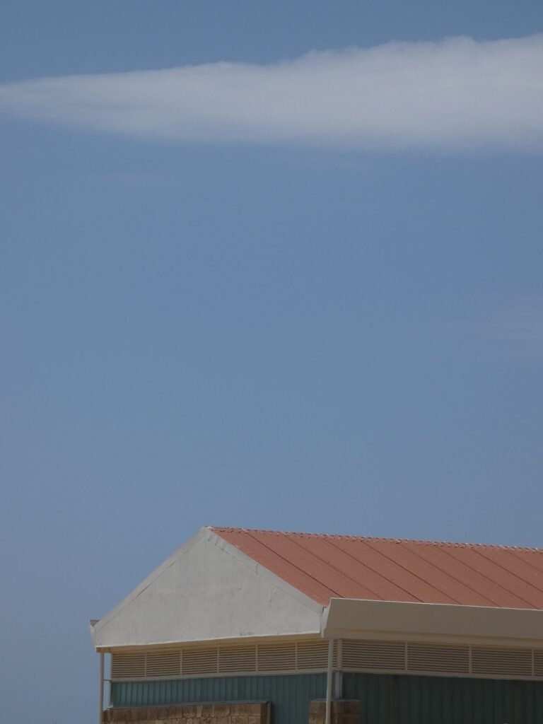Professional soft washing roof cleaning on a residential home
